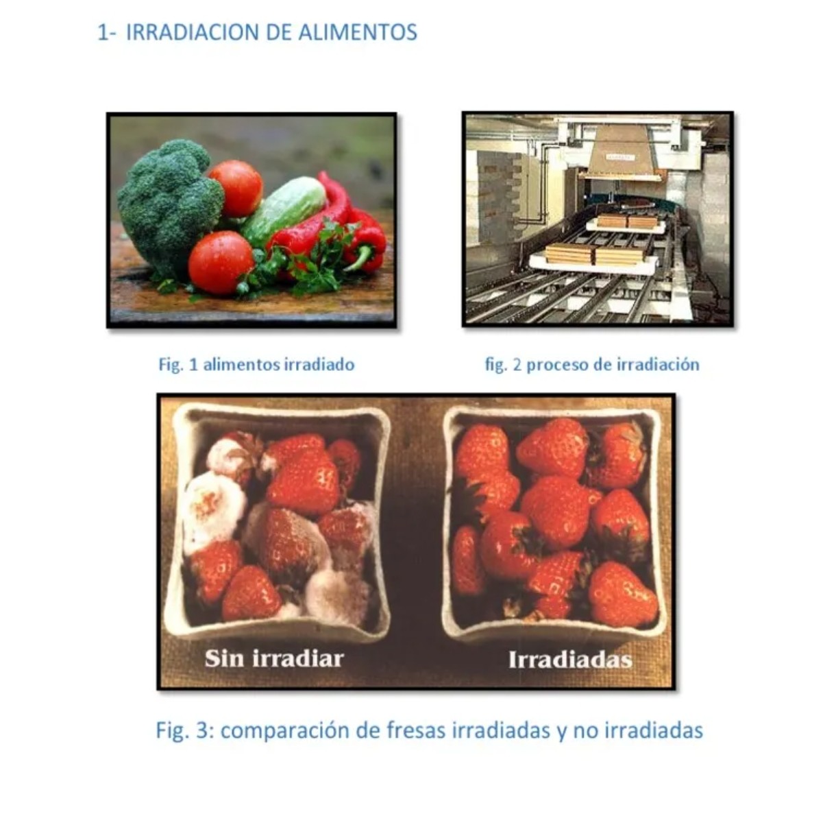 Irradiación Gamma para Fines Industriales